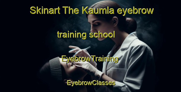 Skinart The Kaumla eyebrow training school | EyebrowTraining | EyebrowClasses | SkinartTraining-India