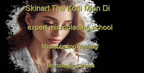 Skinart The Kotli Mien Di expert microblading school | MicrobladingTraining | MicrobladingClasses | SkinartTraining-India