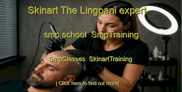 Skinart The Lingpani expert smp school | SmpTraining | SmpClasses | SkinartTraining-India