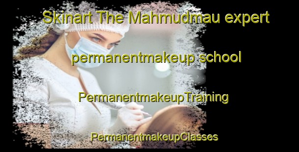 Skinart The Mahmudmau expert permanentmakeup school | PermanentmakeupTraining | PermanentmakeupClasses | SkinartTraining-India