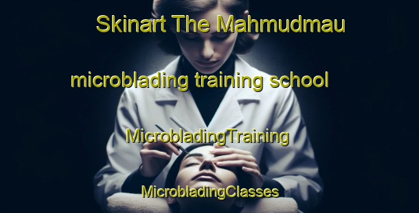 Skinart The Mahmudmau microblading training school | #MicrobladingTraining #MicrobladingClasses #SkinartTraining-India