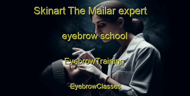 Skinart The Mailar expert eyebrow school | EyebrowTraining | EyebrowClasses | SkinartTraining-India