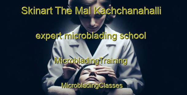 Skinart The Mal Kachchanahalli expert microblading school | MicrobladingTraining | MicrobladingClasses | SkinartTraining-India