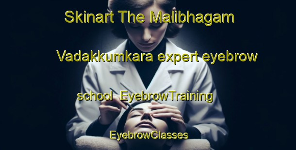 Skinart The Malibhagam Vadakkumkara expert eyebrow school | EyebrowTraining | EyebrowClasses | SkinartTraining-India