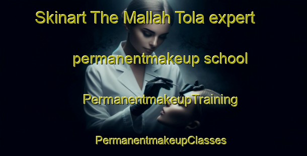 Skinart The Mallah Tola expert permanentmakeup school | #PermanentmakeupTraining #PermanentmakeupClasses #SkinartTraining-India