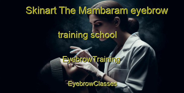 Skinart The Mambaram eyebrow training school | EyebrowTraining | EyebrowClasses | SkinartTraining-India