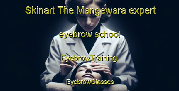 Skinart The Mangewara expert eyebrow school | EyebrowTraining | EyebrowClasses | SkinartTraining-India