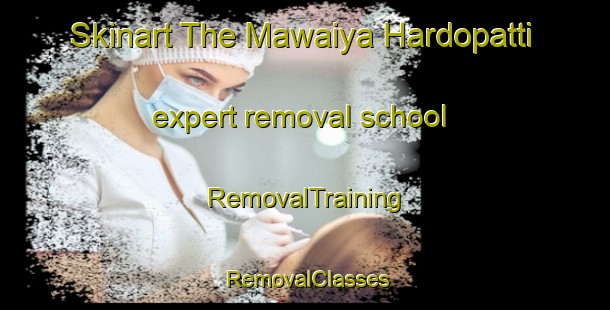 Skinart The Mawaiya Hardopatti expert removal school | RemovalTraining | RemovalClasses | SkinartTraining-India