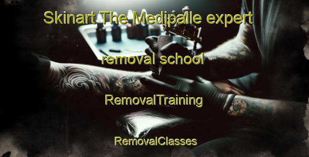 Skinart The Medipalle expert removal school | RemovalTraining | RemovalClasses | SkinartTraining-India