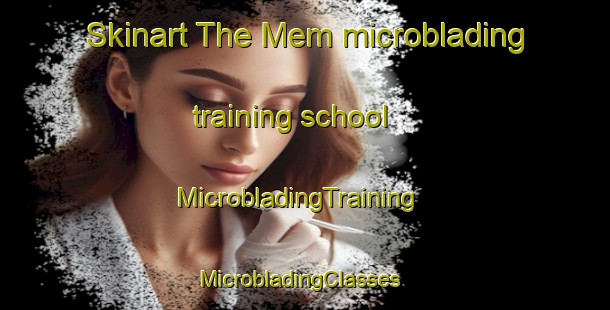 Skinart The Mem microblading training school | MicrobladingTraining | MicrobladingClasses | SkinartTraining-India