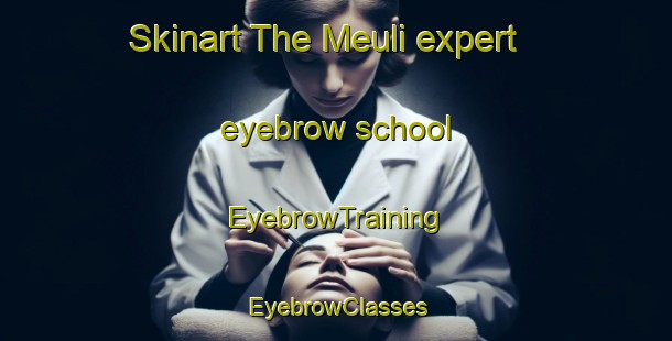Skinart The Meuli expert eyebrow school | EyebrowTraining | EyebrowClasses | SkinartTraining-India