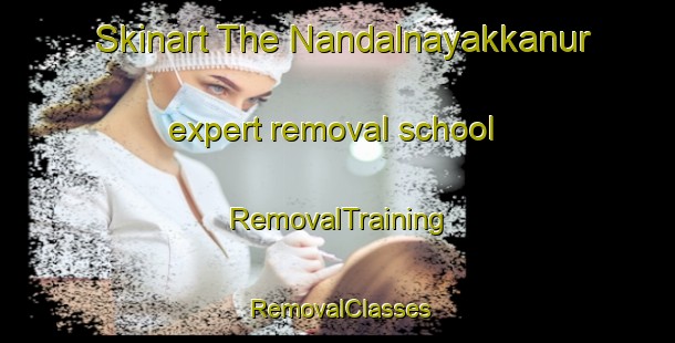 Skinart The Nandalnayakkanur expert removal school | RemovalTraining | RemovalClasses | SkinartTraining-India
