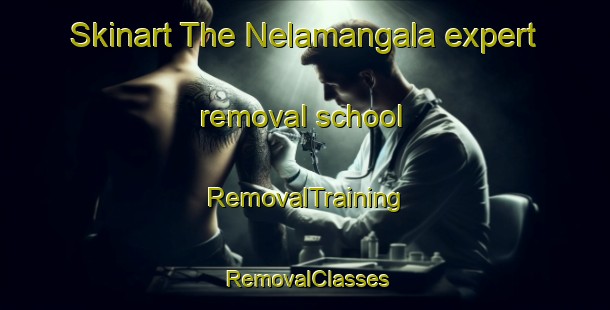 Skinart The Nelamangala expert removal school | RemovalTraining | RemovalClasses | SkinartTraining-India