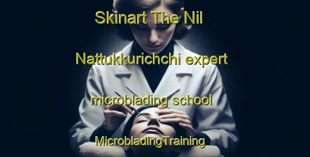 Skinart The Nil Nattukkurichchi expert microblading school | MicrobladingTraining | MicrobladingClasses | SkinartTraining-India
