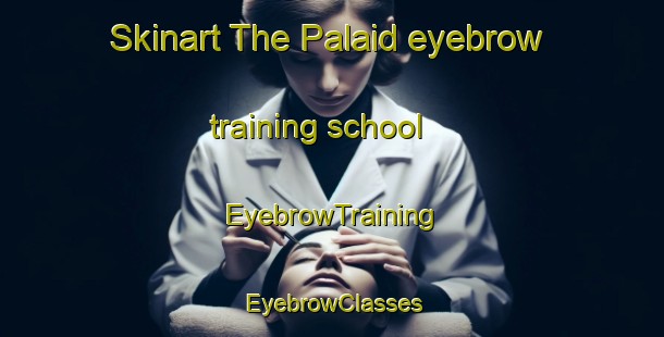 Skinart The Palaid eyebrow training school | EyebrowTraining | EyebrowClasses | SkinartTraining-India