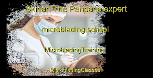 Skinart The Panpana expert microblading school | MicrobladingTraining | MicrobladingClasses | SkinartTraining-India