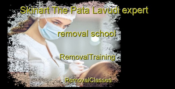 Skinart The Pata Lavudi expert removal school | RemovalTraining | RemovalClasses | SkinartTraining-India