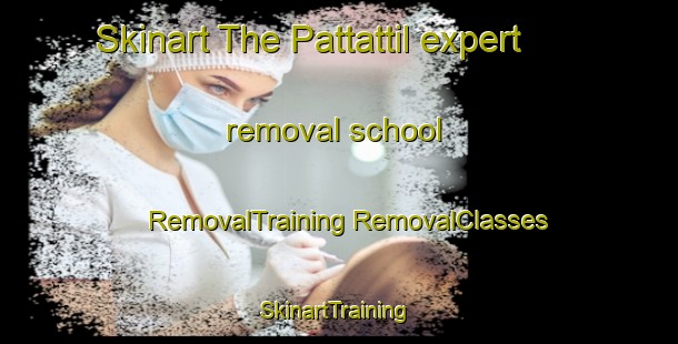 Skinart The Pattattil expert removal school | #RemovalTraining #RemovalClasses #SkinartTraining-India