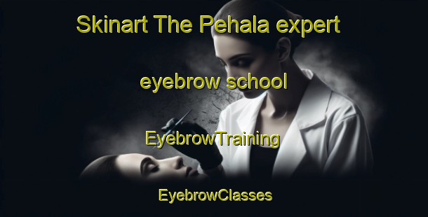 Skinart The Pehala expert eyebrow school | EyebrowTraining | EyebrowClasses | SkinartTraining-India