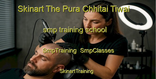 Skinart The Pura Chhitai Tiwai smp training school | SmpTraining | SmpClasses | SkinartTraining-India