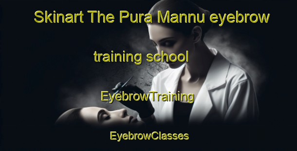 Skinart The Pura Mannu eyebrow training school | EyebrowTraining | EyebrowClasses | SkinartTraining-India