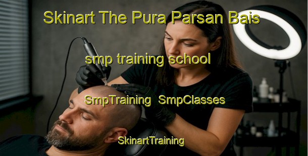 Skinart The Pura Parsan Bais smp training school | SmpTraining | SmpClasses | SkinartTraining-India