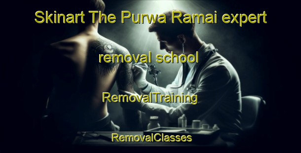Skinart The Purwa Ramai expert removal school | RemovalTraining | RemovalClasses | SkinartTraining-India