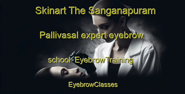 Skinart The Sanganapuram Pallivasal expert eyebrow school | EyebrowTraining | EyebrowClasses | SkinartTraining-India