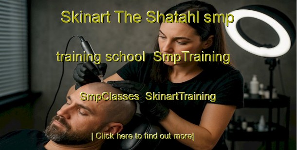 Skinart The Shatahl smp training school | SmpTraining | SmpClasses | SkinartTraining-India