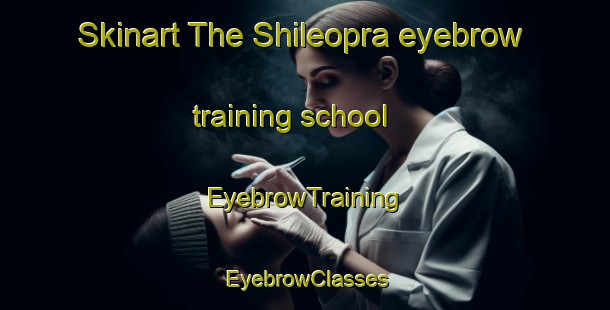 Skinart The Shileopra eyebrow training school | EyebrowTraining | EyebrowClasses | SkinartTraining-India