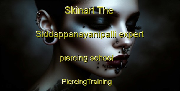 Skinart The Siddappanayanipalli expert piercing school | PiercingTraining | PiercingClasses | SkinartTraining-India