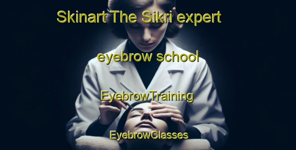 Skinart The Sikri expert eyebrow school | EyebrowTraining | EyebrowClasses | SkinartTraining-India