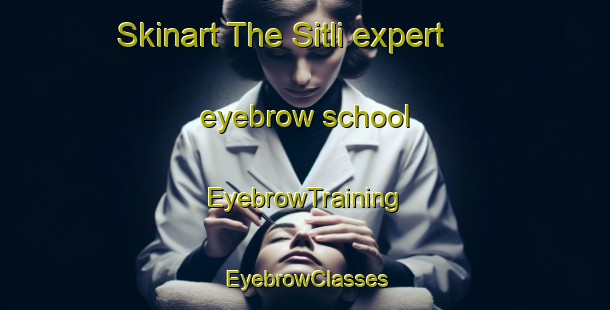 Skinart The Sitli expert eyebrow school | EyebrowTraining | EyebrowClasses | SkinartTraining-India