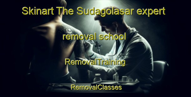Skinart The Sudagolasar expert removal school | RemovalTraining | RemovalClasses | SkinartTraining-India