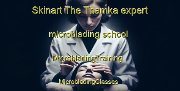 Skinart The Thamka expert microblading school | MicrobladingTraining | MicrobladingClasses | SkinartTraining-India