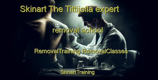 Skinart The Tittijolla expert removal school | #RemovalTraining #RemovalClasses #SkinartTraining-India