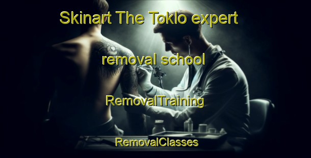 Skinart The Toklo expert removal school | RemovalTraining | RemovalClasses | SkinartTraining-India