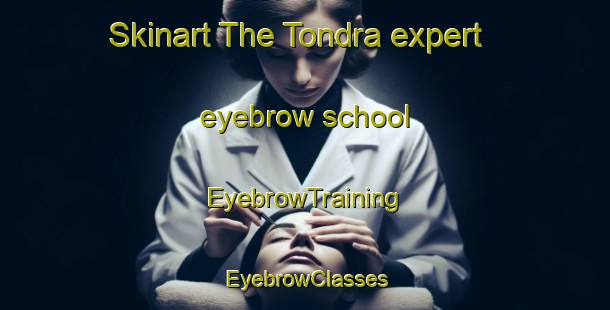 Skinart The Tondra expert eyebrow school | EyebrowTraining | EyebrowClasses | SkinartTraining-India
