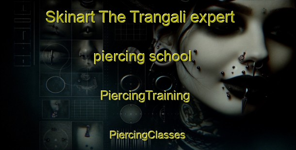 Skinart The Trangali expert piercing school | #PiercingTraining #PiercingClasses #SkinartTraining-India