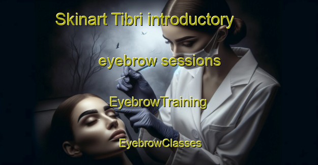 Skinart Tibri introductory eyebrow sessions | EyebrowTraining | EyebrowClasses | SkinartTraining-India