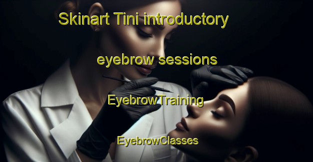 Skinart Tini introductory eyebrow sessions | EyebrowTraining | EyebrowClasses | SkinartTraining-India