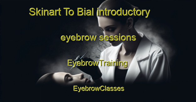 Skinart To Bial introductory eyebrow sessions | EyebrowTraining | EyebrowClasses | SkinartTraining-India