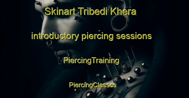 Skinart Tribedi Khera introductory piercing sessions | PiercingTraining | PiercingClasses | SkinartTraining-India