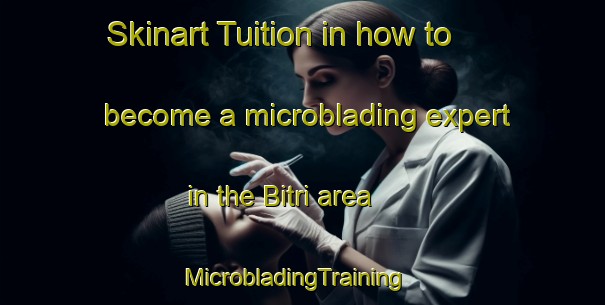 Skinart Tuition in how to become a microblading expert in the Bitri area | MicrobladingTraining | MicrobladingClasses | SkinartTraining-India