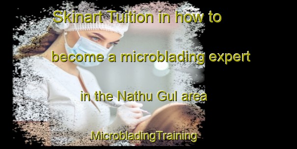 Skinart Tuition in how to become a microblading expert in the Nathu Gul area | MicrobladingTraining | MicrobladingClasses | SkinartTraining-India