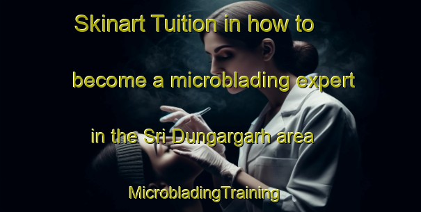 Skinart Tuition in how to become a microblading expert in the Sri Dungargarh area | MicrobladingTraining | MicrobladingClasses | SkinartTraining-India