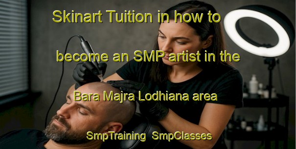 Skinart Tuition in how to become an SMP artist in the Bara Majra Lodhiana area | SmpTraining | SmpClasses | SkinartTraining-India