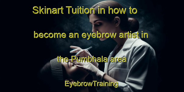 Skinart Tuition in how to become an eyebrow artist in the Pumbhala area | EyebrowTraining | EyebrowClasses | SkinartTraining-India