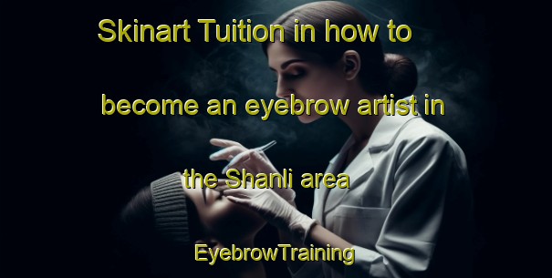 Skinart Tuition in how to become an eyebrow artist in the Shanli area | EyebrowTraining | EyebrowClasses | SkinartTraining-India