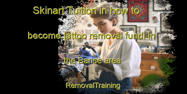 Skinart Tuition in how to become tattoo removal fundi in the Banse area | RemovalTraining | RemovalClasses | SkinartTraining-India